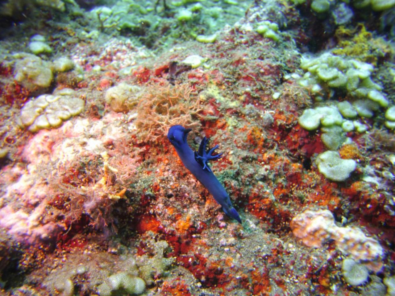 Отель Alam Mimpi Bali Теджакула Экстерьер фото